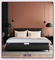 Spine Latex Mattress